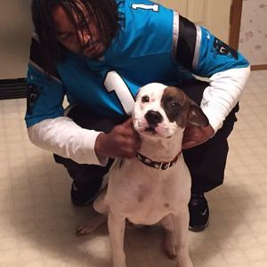 Meet your Posher, Duva